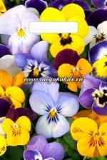 Пакет с проруб. ручкой 20х30 см, АНЮТИНЫ ГЛАЗКИ, 30 мкм, ПВД, 1*100 (3000) Тико 